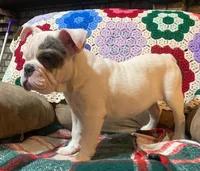 processed/c89a461f-9cf2-41b4-8a1a-70f40246d27d/listing/b044444a-0ce1-4291-81c3-5e9eb2bd1dff/b16d3f9a-2ec4-409e-8dab-e239c058ee4e