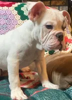 processed/c89a461f-9cf2-41b4-8a1a-70f40246d27d/listing/b044444a-0ce1-4291-81c3-5e9eb2bd1dff/cfa4e3ee-a7dd-44c4-9901-13fad948653d