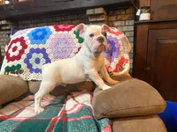 processed/c89a461f-9cf2-41b4-8a1a-70f40246d27d/listing/b044444a-0ce1-4291-81c3-5e9eb2bd1dff/e29eb97b-ceae-46c3-87a9-8470fb850e3f