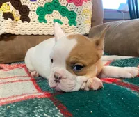 processed/c89a461f-9cf2-41b4-8a1a-70f40246d27d/listing/b08619d8-5752-4a25-a169-d75b6f0a13ba/3b7e7e3b-08f1-4c88-a2a7-41e36189b7d3