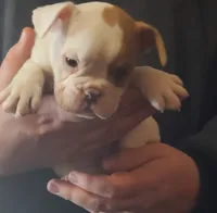 processed/c89a461f-9cf2-41b4-8a1a-70f40246d27d/listing/b08619d8-5752-4a25-a169-d75b6f0a13ba/468cd5d6-e74a-463c-bc46-93fd32b7a4e5