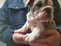 processed/c89a461f-9cf2-41b4-8a1a-70f40246d27d/listing/bd17e184-6168-4c3d-a508-74f34846121e/c0a68a14-7934-4c1d-b3ec-98f094f1c45e