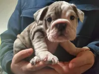 processed/c89a461f-9cf2-41b4-8a1a-70f40246d27d/listing/bd17e184-6168-4c3d-a508-74f34846121e/ce40d177-87c6-4b0f-8790-e0f0a1096593