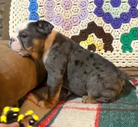 processed/c89a461f-9cf2-41b4-8a1a-70f40246d27d/listing/be3fc761-92fd-4a2c-b61b-f6403a9e7b6c/585fbf02-fa5a-425a-b163-e42d739b3a2c