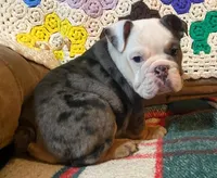 processed/c89a461f-9cf2-41b4-8a1a-70f40246d27d/listing/be3fc761-92fd-4a2c-b61b-f6403a9e7b6c/a75771ba-01cb-479c-9ed0-1e2561d4171f