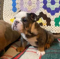 processed/c89a461f-9cf2-41b4-8a1a-70f40246d27d/listing/be3fc761-92fd-4a2c-b61b-f6403a9e7b6c/f0c6bdaf-d6c9-4f47-8a85-f1388418f80e