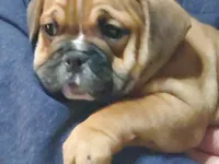 processed/c89a461f-9cf2-41b4-8a1a-70f40246d27d/listing/c4e95cf7-7c4e-43ab-83d7-1cdf4d9bc224/474364e8-d04c-44f9-b1b1-ee5730a339df