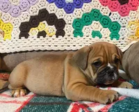 processed/c89a461f-9cf2-41b4-8a1a-70f40246d27d/listing/c4e95cf7-7c4e-43ab-83d7-1cdf4d9bc224/8f1fb5c7-8400-4ed2-891e-70fb17ff7749