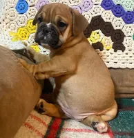 processed/c89a461f-9cf2-41b4-8a1a-70f40246d27d/listing/c4e95cf7-7c4e-43ab-83d7-1cdf4d9bc224/b98b3a7e-00d0-4445-ad0c-54f04a7cb4e5