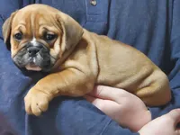 processed/c89a461f-9cf2-41b4-8a1a-70f40246d27d/listing/c4e95cf7-7c4e-43ab-83d7-1cdf4d9bc224/bbb4a030-0a09-462e-9795-f05fd7c80123