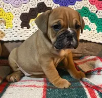 processed/c89a461f-9cf2-41b4-8a1a-70f40246d27d/listing/c4e95cf7-7c4e-43ab-83d7-1cdf4d9bc224/f0bf4051-4a46-4b77-a29a-3dbe8777c20c