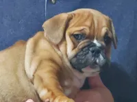 processed/c89a461f-9cf2-41b4-8a1a-70f40246d27d/listing/c4e95cf7-7c4e-43ab-83d7-1cdf4d9bc224/f1ed34d3-7e75-4e63-bbdd-1a9c839f920f