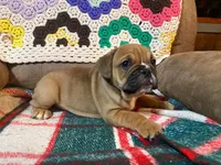 processed/c89a461f-9cf2-41b4-8a1a-70f40246d27d/listing/c4e95cf7-7c4e-43ab-83d7-1cdf4d9bc224/f55fc3da-0a97-4d66-92dd-a6ad0f65ad76