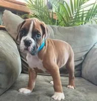 processed/c89a461f-9cf2-41b4-8a1a-70f40246d27d/listing/d13cd181-2c19-4722-b321-b672481c99b4/1f189675-786c-4065-b07c-bb2e8212fc9a