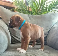 processed/c89a461f-9cf2-41b4-8a1a-70f40246d27d/listing/d13cd181-2c19-4722-b321-b672481c99b4/f938892d-b6d2-47cb-81b8-6b7a05e84968