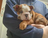 processed/c89a461f-9cf2-41b4-8a1a-70f40246d27d/listing/eb46e991-0834-4ca8-bd66-d4e72ad60684/1c101563-d47c-45dc-8660-ac6fb10cbe47