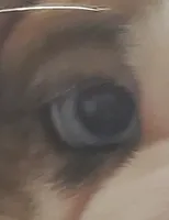 processed/c89a461f-9cf2-41b4-8a1a-70f40246d27d/listing/eb46e991-0834-4ca8-bd66-d4e72ad60684/2f1ed03b-011f-43cf-93bf-1d42a49af405