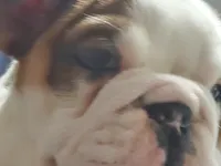 processed/c89a461f-9cf2-41b4-8a1a-70f40246d27d/listing/eb46e991-0834-4ca8-bd66-d4e72ad60684/89b850a8-82b3-4123-819c-2909e30a052e