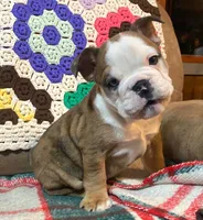 processed/c89a461f-9cf2-41b4-8a1a-70f40246d27d/listing/eb46e991-0834-4ca8-bd66-d4e72ad60684/ad1d2404-c0e2-4ba3-a5bc-3eaf275abc05