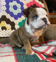 processed/c89a461f-9cf2-41b4-8a1a-70f40246d27d/listing/eb46e991-0834-4ca8-bd66-d4e72ad60684/c3aef712-1736-4732-bfdd-c4134bcfcc84