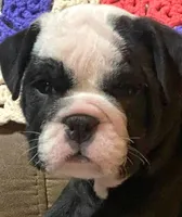 processed/c89a461f-9cf2-41b4-8a1a-70f40246d27d/listing/f930bcf7-fb81-47e3-b39a-7a0c54c15d93/3f8e23e6-a0da-4560-8a30-738e13d16fdd