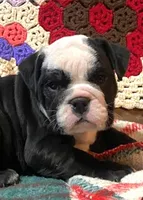 processed/c89a461f-9cf2-41b4-8a1a-70f40246d27d/listing/f930bcf7-fb81-47e3-b39a-7a0c54c15d93/42a90891-1465-4f6c-b8f8-df1599f41cd3