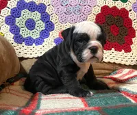 processed/c89a461f-9cf2-41b4-8a1a-70f40246d27d/listing/f930bcf7-fb81-47e3-b39a-7a0c54c15d93/8559dd08-2d6c-409d-bec5-0827ccf3c862