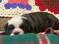 processed/c89a461f-9cf2-41b4-8a1a-70f40246d27d/listing/f930bcf7-fb81-47e3-b39a-7a0c54c15d93/864c9bdf-b170-4838-a124-d73e87ba776f