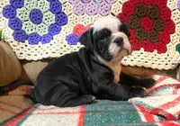 processed/c89a461f-9cf2-41b4-8a1a-70f40246d27d/listing/f930bcf7-fb81-47e3-b39a-7a0c54c15d93/94d18490-fc06-4ee8-89c5-4309f509d606