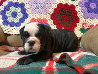 processed/c89a461f-9cf2-41b4-8a1a-70f40246d27d/listing/f930bcf7-fb81-47e3-b39a-7a0c54c15d93/9a860d6c-a28b-4441-9226-145848c922c6