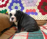 processed/c89a461f-9cf2-41b4-8a1a-70f40246d27d/listing/f930bcf7-fb81-47e3-b39a-7a0c54c15d93/df72117b-1f5a-448d-b4fd-8969403f7455