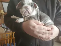 processed/c89a461f-9cf2-41b4-8a1a-70f40246d27d/listing/fde1bbcf-fc9e-441b-9f72-0714b07e68b0/b9f23872-4ed0-456a-8b9b-fb8615a97985