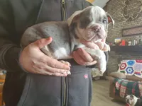 processed/c89a461f-9cf2-41b4-8a1a-70f40246d27d/listing/fde1bbcf-fc9e-441b-9f72-0714b07e68b0/bad3a692-4105-426a-8e7e-1d0873b9e49c