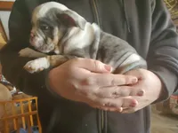 processed/c89a461f-9cf2-41b4-8a1a-70f40246d27d/listing/fde1bbcf-fc9e-441b-9f72-0714b07e68b0/d6e0324b-411a-4ee3-ba13-b8e5dd2efb7c