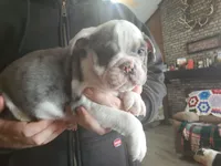 processed/c89a461f-9cf2-41b4-8a1a-70f40246d27d/listing/fde1bbcf-fc9e-441b-9f72-0714b07e68b0/eb2a6864-7ee9-4e2e-85da-47e8dc36e6f6