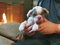 processed/c89a461f-9cf2-41b4-8a1a-70f40246d27d/listing/fde1bbcf-fc9e-441b-9f72-0714b07e68b0/fdfd0655-e1c0-4171-88c8-14b032f44b60