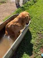 processed/c8a3f7f8-d701-4e71-9f40-843eb5ab00ae/facility/83480349-ba75-4670-a097-088cd8b73f3a