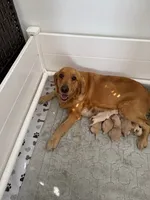 processed/c8a3f7f8-d701-4e71-9f40-843eb5ab00ae/listing/2b368239-2ce4-4f60-b98e-7fcf6f9f4b99/001d291c-6f52-46e9-b111-b1c588678dbb