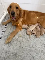 processed/c8a3f7f8-d701-4e71-9f40-843eb5ab00ae/listing/2b368239-2ce4-4f60-b98e-7fcf6f9f4b99/f274e51f-ae2b-4342-88e4-f86dd93e3d5b