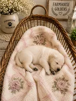 Golden Retriever light golden female  puppy, a female Golden Retriever for sale in Modesto, CA – 5 of 10