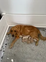 processed/c8a3f7f8-d701-4e71-9f40-843eb5ab00ae/listing/f9052643-f1c3-46cd-8614-f6d49a5260a3/1b118606-7e61-41b3-a539-52b19b1ba20e