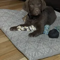 processed/c8a8b2cb-7292-4c60-b025-a467d3eabbeb/facility/7239bd9f-c6cf-4cae-a451-21b861b688c1