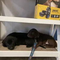 processed/c8a8b2cb-7292-4c60-b025-a467d3eabbeb/facility/b0fe8cb3-34ec-4aca-94fb-7e29a8c3e8c9