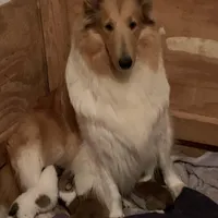 processed/c8ab6a25-ae0c-4141-8c8b-be833271dd14/facility/54acbc2b-e845-48c4-b60c-b1464e687cc9