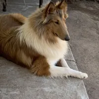 processed/c8ab6a25-ae0c-4141-8c8b-be833271dd14/facility/6da84dca-25dc-47d2-a8cc-2d36021689f4