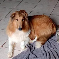 processed/c8ab6a25-ae0c-4141-8c8b-be833271dd14/facility/7cca92ac-0e1d-40e8-9c0a-be51e2f1a66f