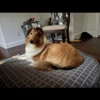 processed/c8ab6a25-ae0c-4141-8c8b-be833271dd14/facility/a1942add-534f-4c16-b33a-1c4584ac2ec8