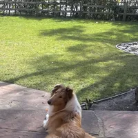 processed/c8ab6a25-ae0c-4141-8c8b-be833271dd14/facility/a1d42fdb-ed2a-45d4-b73b-a9e05d76beb7