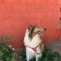 processed/c8ab6a25-ae0c-4141-8c8b-be833271dd14/facility/f1bc6de2-f58e-4d53-a874-abc2c5c74fb9