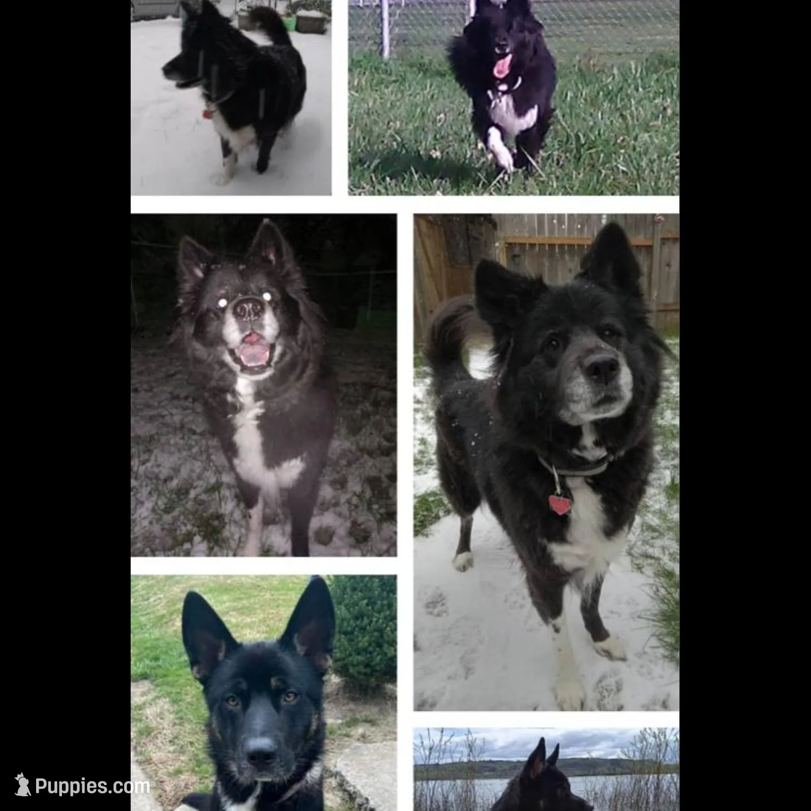 processed/c8adb439-b581-47f0-abdb-2fa0c30115e9/listing/7c87fabb-7006-4cf0-8d44-58026db06d0c/7c262894-10da-437c-8836-16fa3dad2db8